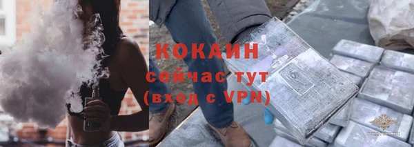 индика Абаза