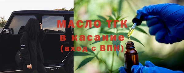 индика Абаза