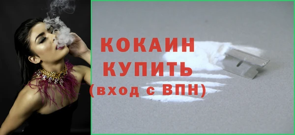 индика Абаза