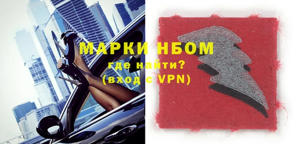 индика Абаза