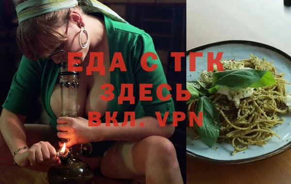 индика Абаза