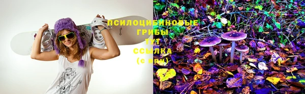 индика Абаза