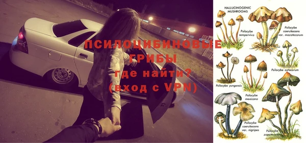 индика Абаза