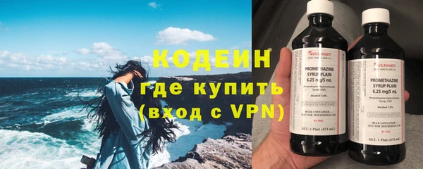 индика Абаза