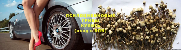 ГАЛЛЮЦИНОГЕННЫЕ ГРИБЫ Абдулино